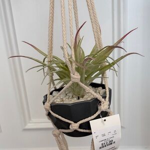 Hanging Faux Plant with Macrame Hanger